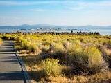 Mono Lake 015